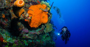 Underwater Kinetics brings divers great new lighting tools for the new diving season Underwater Kinetics