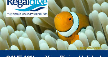 Fabulous February Savings in the Regaldive Sale Regaldive
