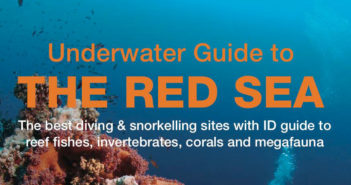 The Red Sea – An Underwater Guide by Lawson Wood Red Sea Guide