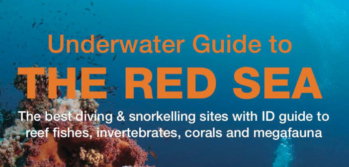 Red Sea Guide