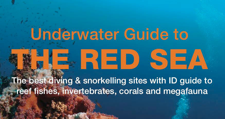 https://www.thescubanews.com/wp-content/uploads/2017/02/underwater-guide-header.jpg