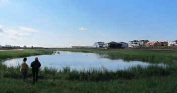 Wetlands