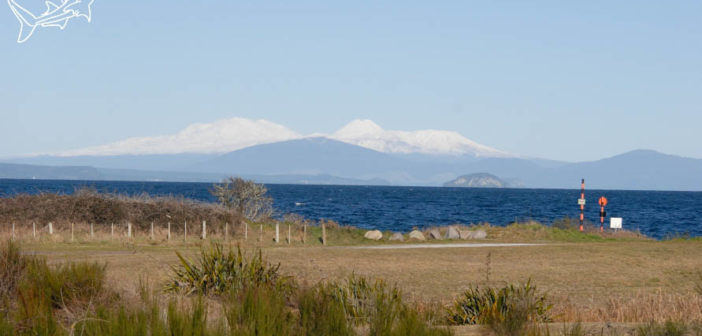 Lake Taupo