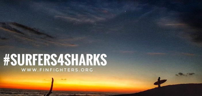 #Surfers4Sharks