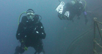 The Value of Continuing Education for Scuba Divers NZ Sea Adventures