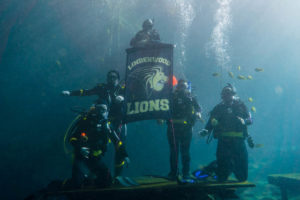 diving-for-college-credit