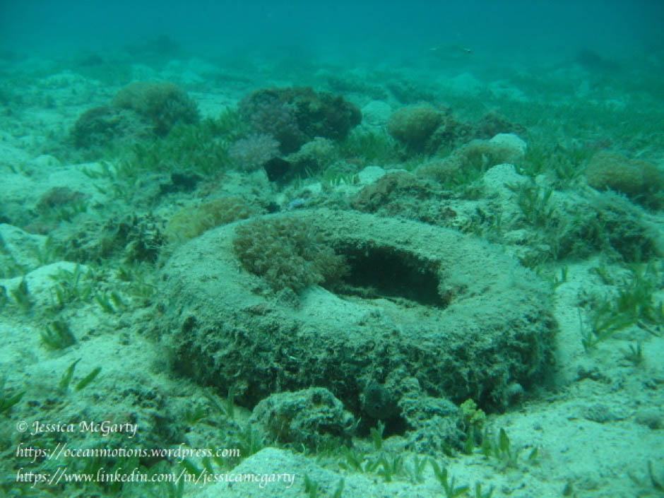 Marine Debris - Jessica McGarty