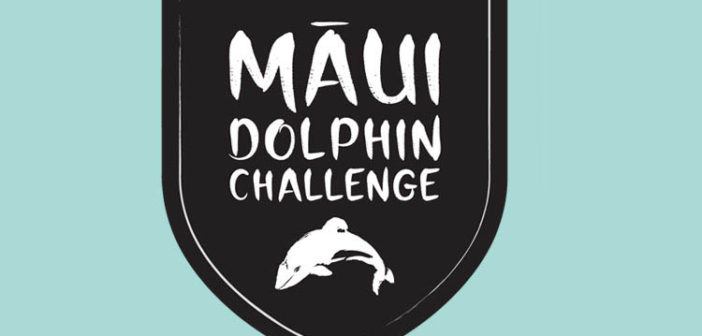maui-dolphin-challenge