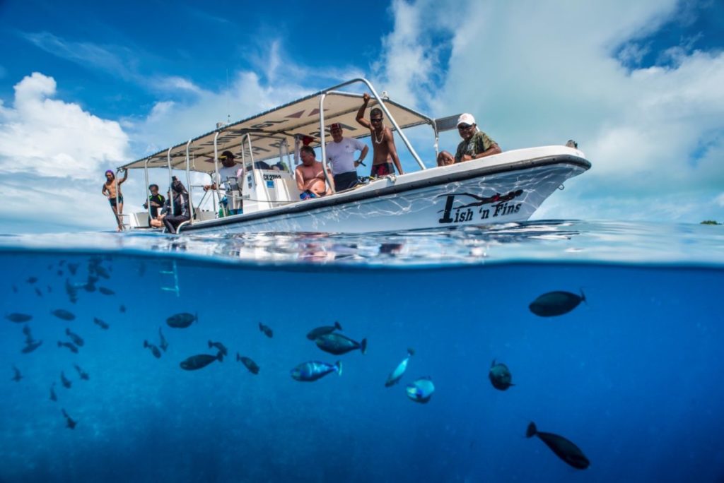 Fish-n-Fins-Palau-Large-e1497309157745