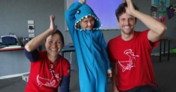 Top Shark Charities Friends for Sharks