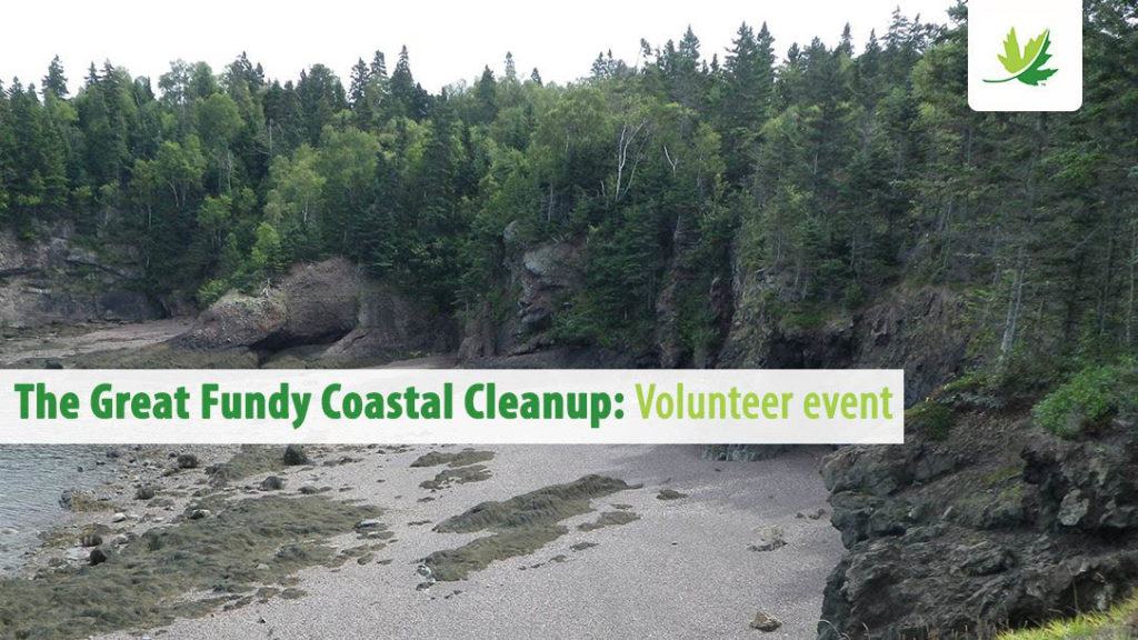 Coastal Clean Up