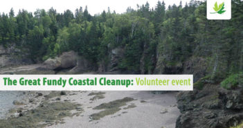 Coastal Clean Up