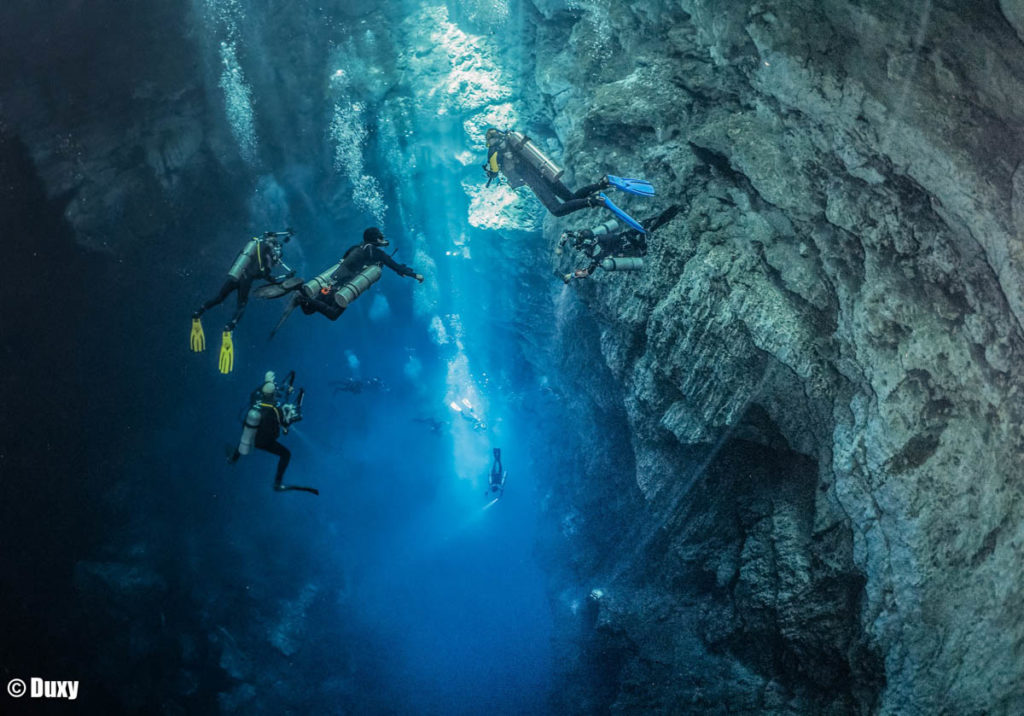 Pro Dive Mexico