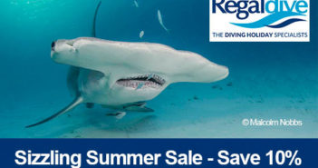 Superb Savings in Regaldive’s Sizzling Summer Sale Regaldive