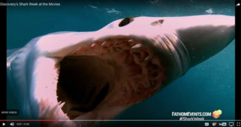 Discovery’s Shark Week at the Movies Shark Week Movie
