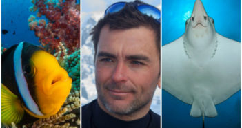 Free photo advice trips with Jordi Chias and Emperor Divers Diverse Travel