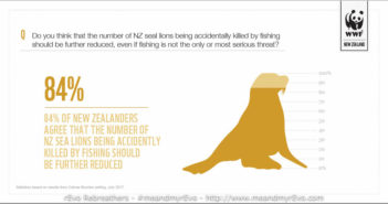 New Zealanders call for better protection for NZ sea lions WWF Sea Lions
