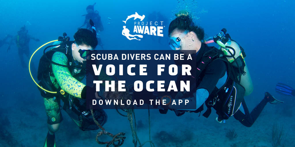 dive-against-debris