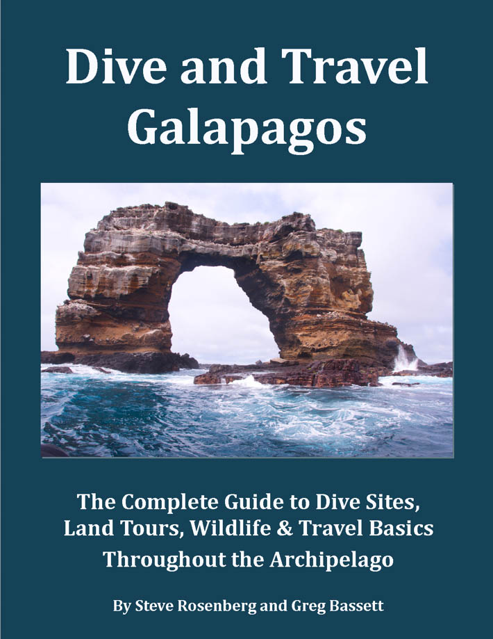 Dive Galapagos