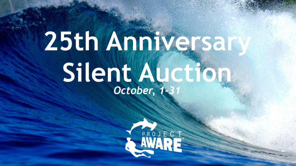 Project AWARE Charity Auction
