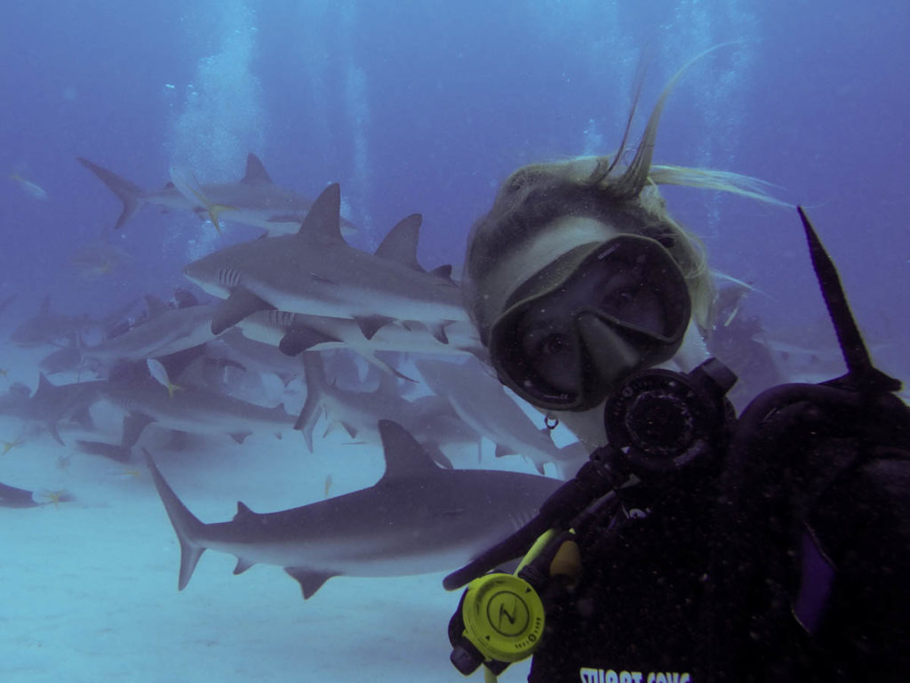 Sharks