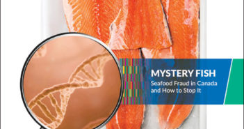 Oceana Canada Seafood Fraud