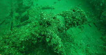 Diving the “Tiller Shipwreck” Tiller Wreck