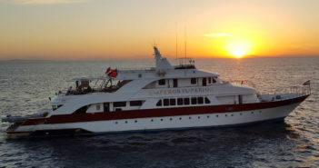 Divers Flocking to the Southern Red Sea Regaldive