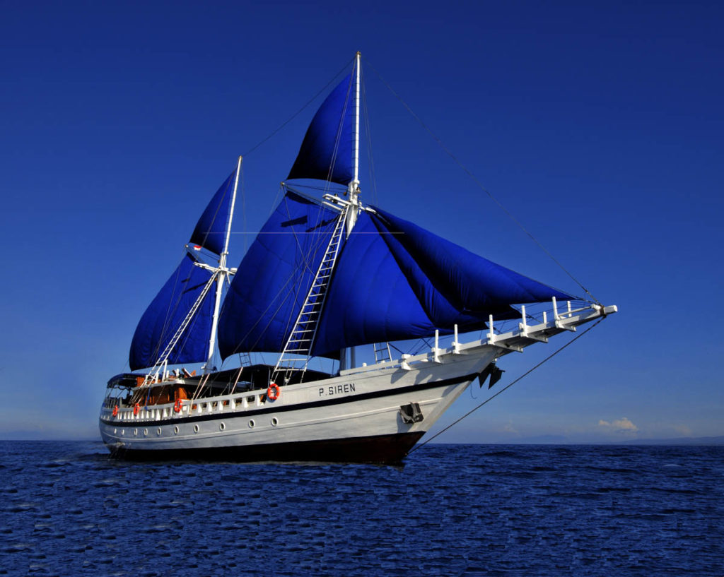 Regaldive