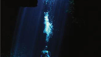 Drawn to the Deep: The Remarkable Underwater Explorations of Wes Skiles Drawn to the Deep
