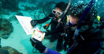 PADI / Project AWARE