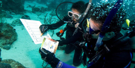 Project AWARE Specialty Course Revised to Inspire Divers to Act for Ocean Health