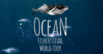 The Ocean Film Festival ocean-film-chantelle