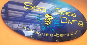 sea-bees-chantelle
