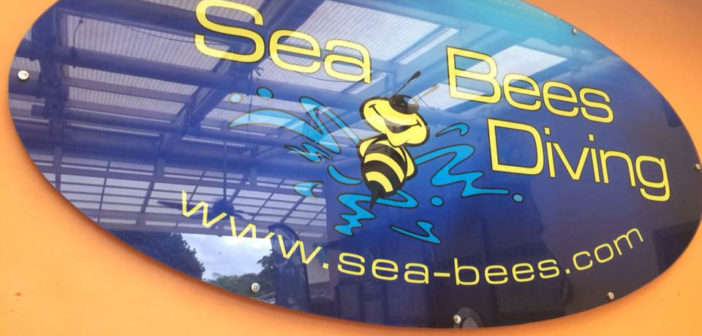 sea-bees-chantelle