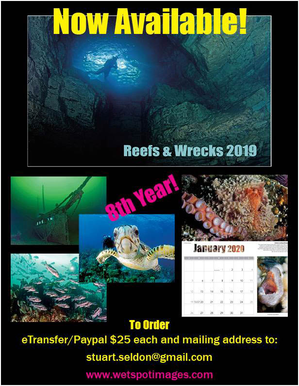 wreck-calendar