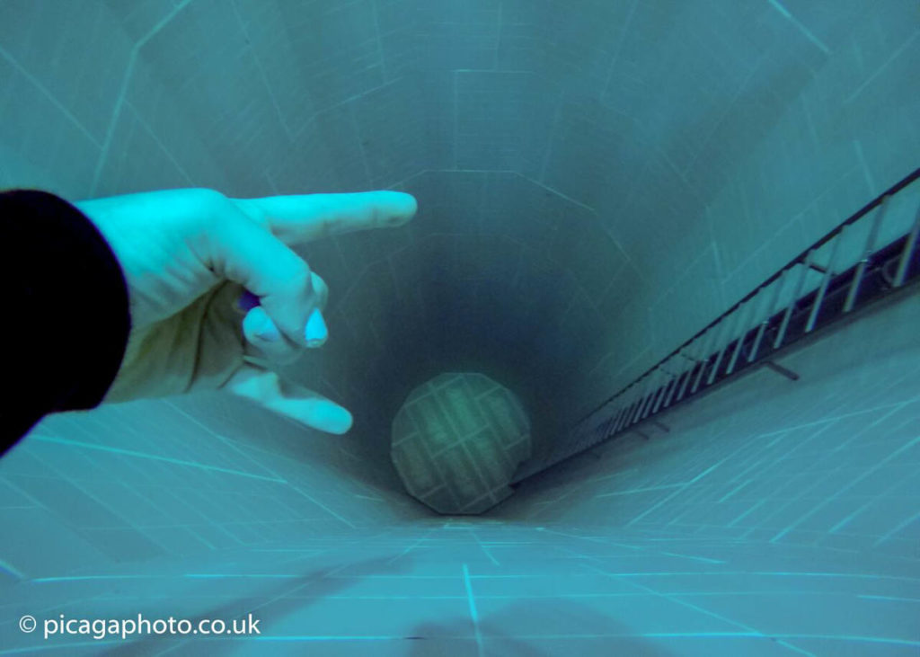 Nemo 33