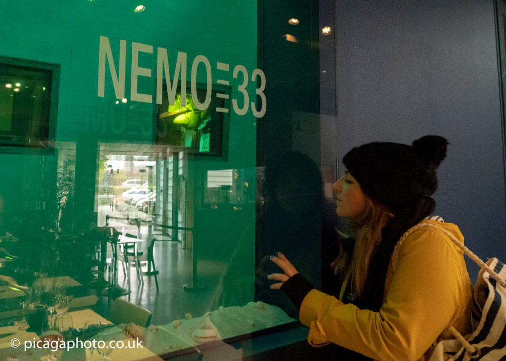 Nemo 33