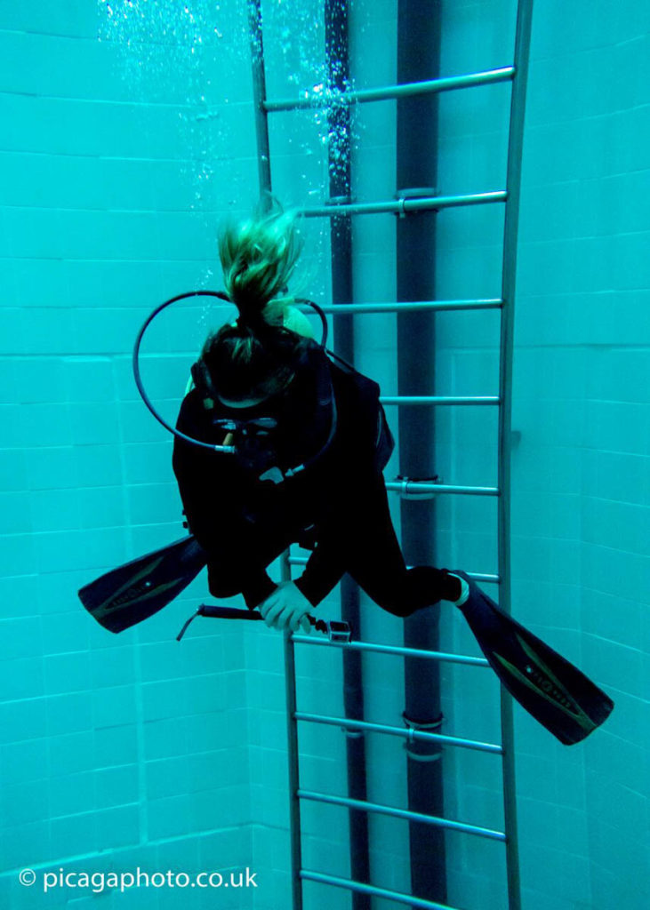 Nemo 33