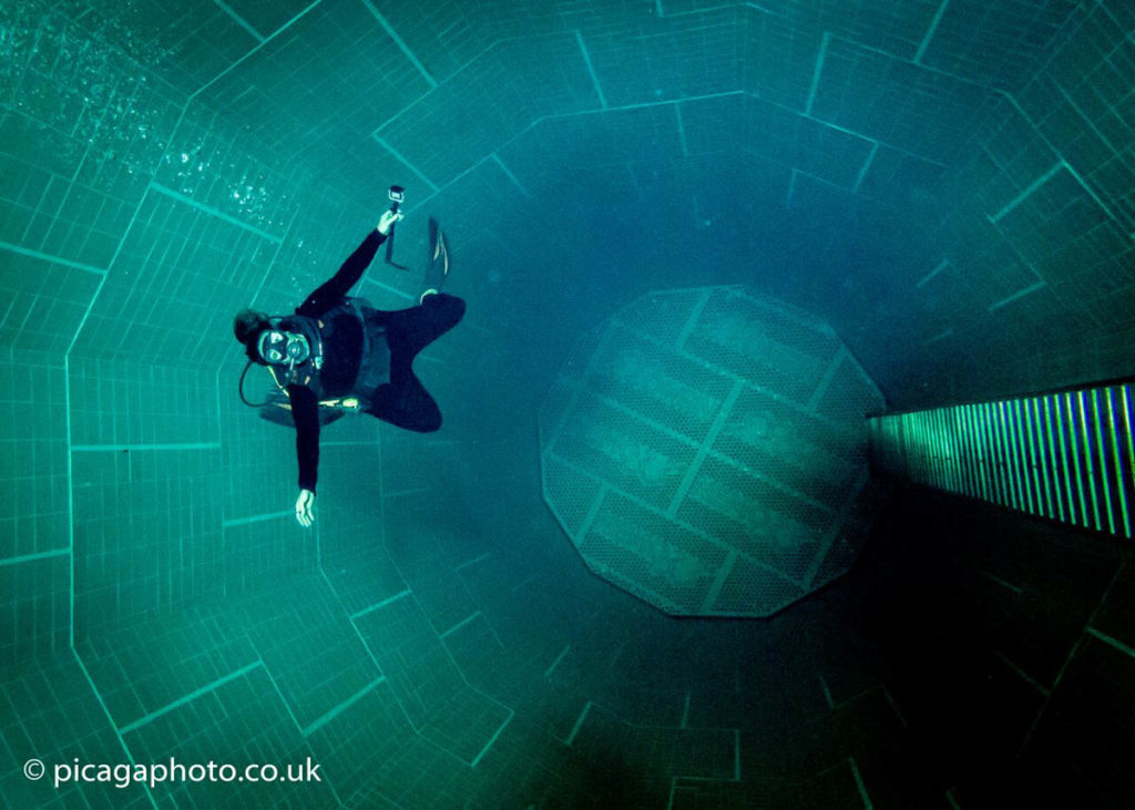 Nemo 33