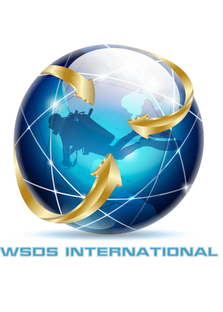 WSDS