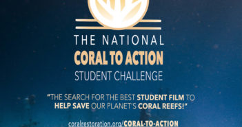 Coral Reef Foundation