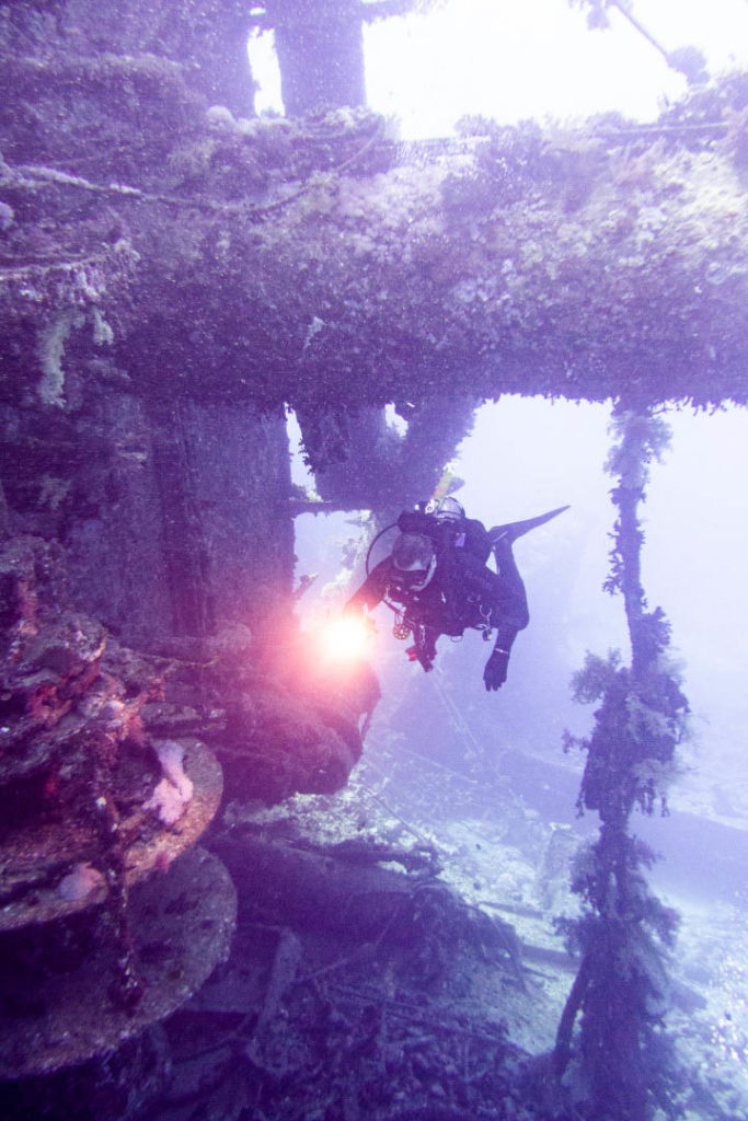 Red Sea