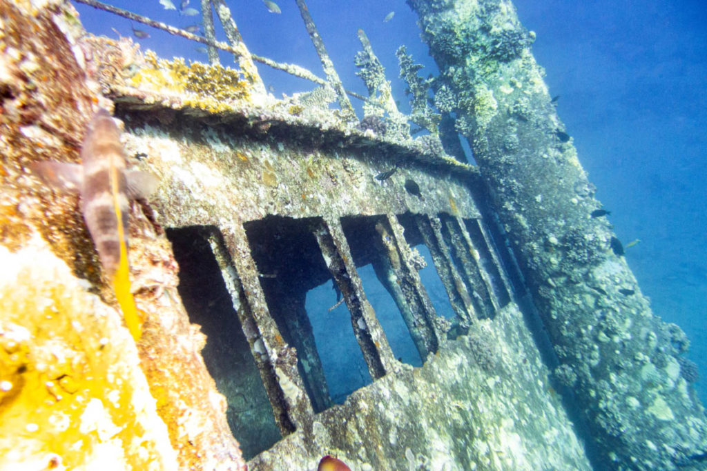 Red Sea