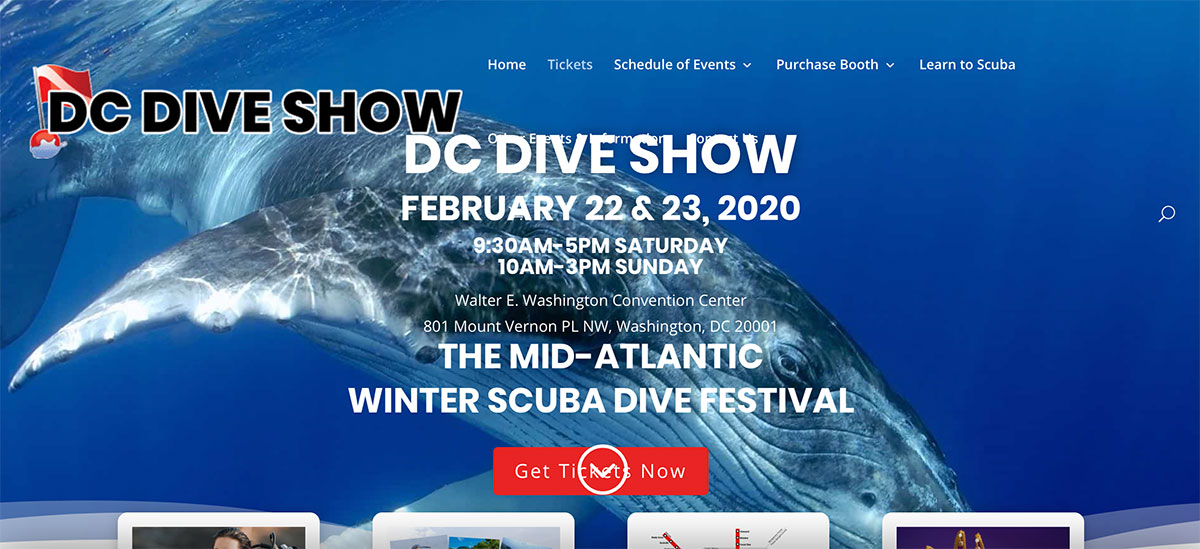 DC Dive Show 2020