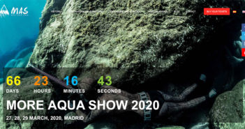 More Aqua Show 2020