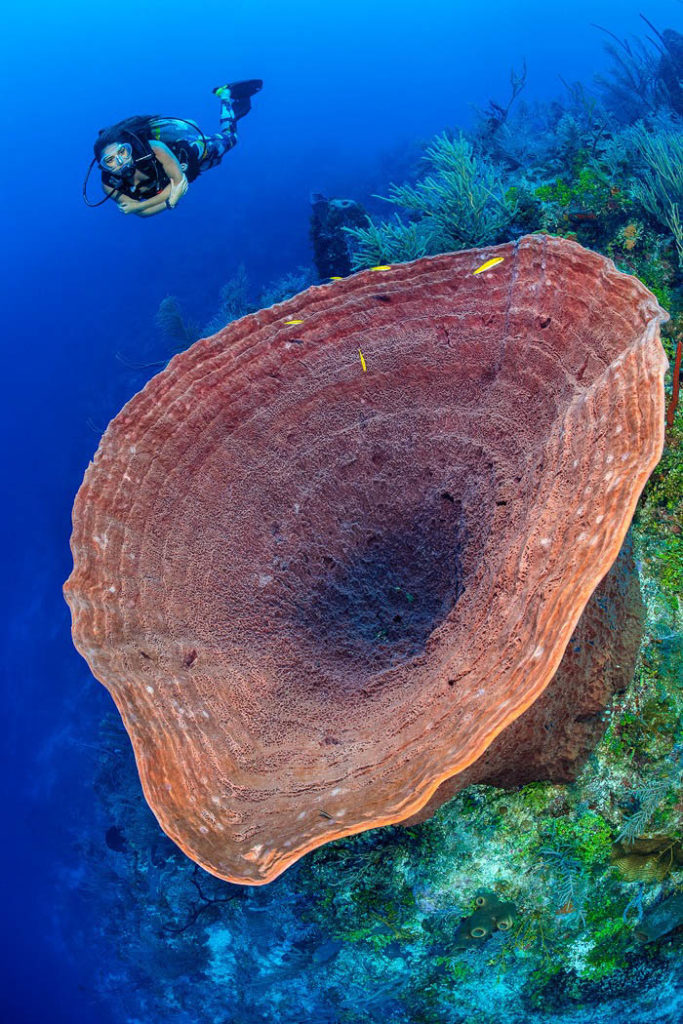 Cayman Islands