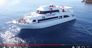 MV Legends Specialist Red Sea Liveaboard