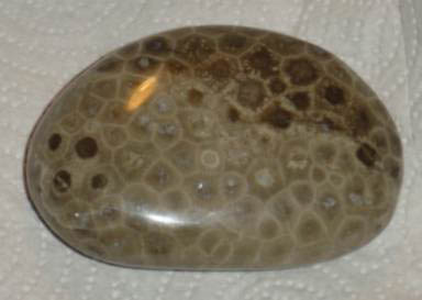 Petoskey Stones