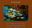 Dive and Travel Cozumel eBook